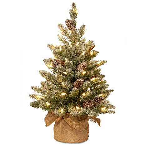 National Tree 2 Foot Snowy Concolor Fir Tree with Snowy Cones and 50 Battery Operated Warm White LED Lights in Burlap Base (SR1-328-20-B)