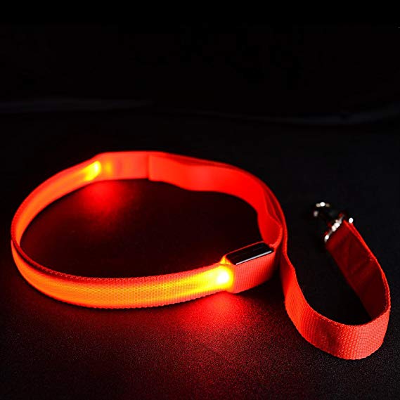 Fashion&cool LED Lighted Fabric Safety pet Leash - Super-Bright LED's Improved Dog Visibility & Safety (4 Colors)