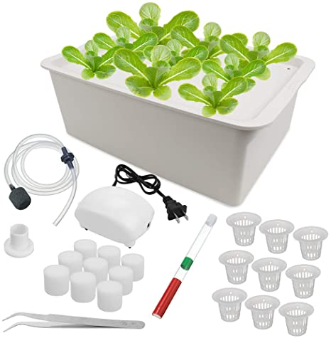 Freehawk Hydroponic System Growing Kit,9 Sites Bucket with Air Pump,Bubble Stone and Planting Sponges,Household DWC Hydroponic System Growing Kits for Herbs,Lettuce,Vegetables (Gray)