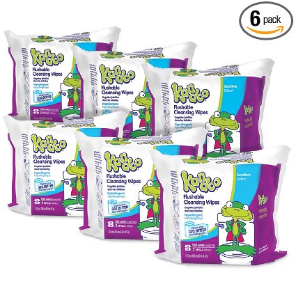 Kandoo Flushable Biodegradable Training and Kids Cleansing Wet Wipes with Moisturizing Lotion Refills, Sensitive, 100 Count (Pack of 6)