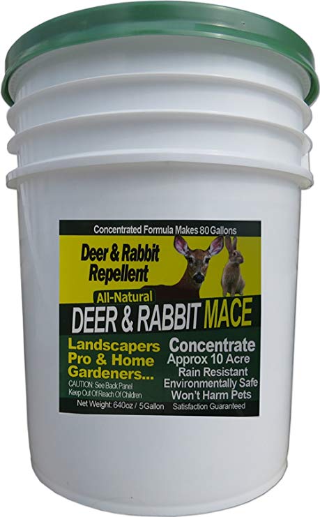 Nature's MACE 5 Gallons Concentrate Deer & Rabbit Repellent, Makes 80 Gallons, Treats 10 Acres - University Study - Proven Technology!
