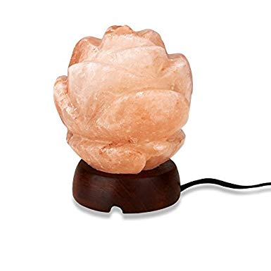 Zennery Crafted Himalayan Salt Lamps (Zennery Himalayan Salt Rose Shaped Lamp)