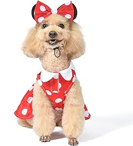 Disney for Pets Minnie Mouse Halloween Costume for Dogs - Medium | Disney Halloween Dog Costumes, Funny Pet Costumes | Officially Licensed Disney Dog Halloween Costume