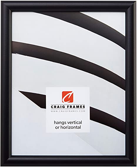 Craig Frames FW2BK 19 x 25-Inch Picture Frame, Smooth Finish, 0.765-Inch Wide, Black