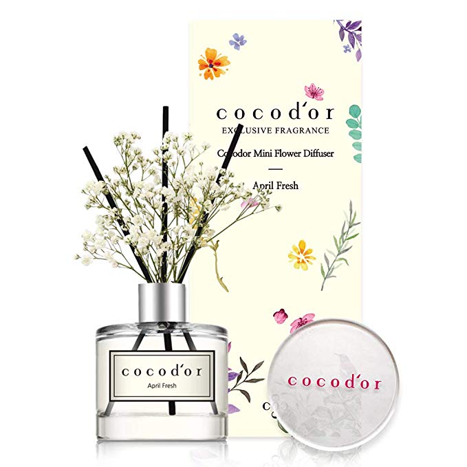 Cocod'or Mini Flowers | Home & Car Diffuser Oil Sticks Gift Set | Baby's Breath Preserved Flower Diffuser 1.6oz April Fresh