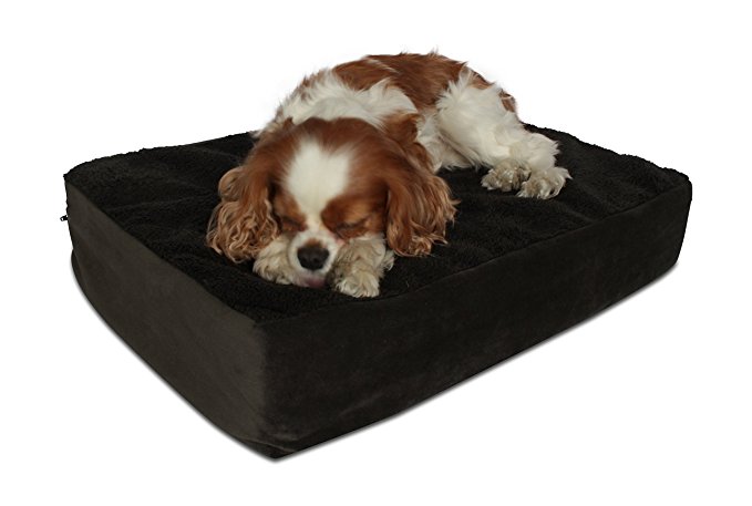 Oliver & Iris 4-Inch Orthopedic Memory Foam Dog Bed