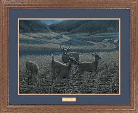 Night Moves - Whitetail Deer GNA Premium Framed Print by Michael Sieve