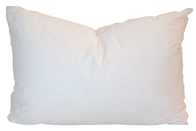 Pillowflex Synthetic Down Pillow Inserts for Shams Aka Faux / Alternative (21 Inch by 27 Inch)