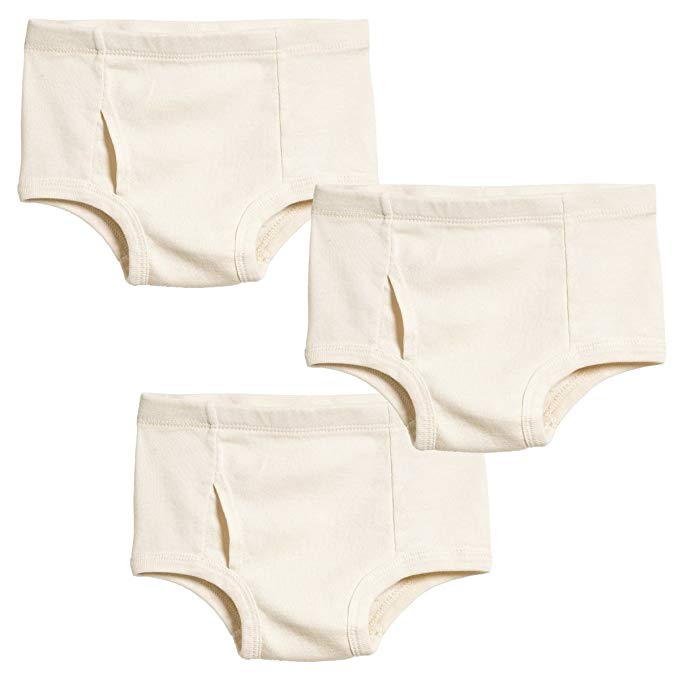 City Threads Boys' 100% Certified Organic Cotton Briefs Underwear Made In USA