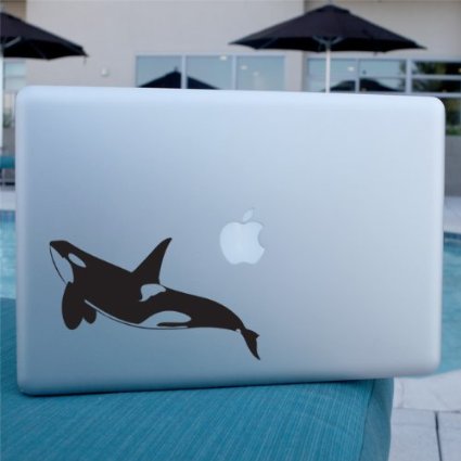 Orca Whale Decal , Vinyl Sticker, Killer whale, For car, window, laptop, wall.