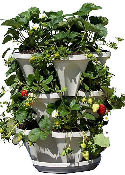 3 Tier Stackable Herb Garden Planter Set - Vertical Container Pots For Herbs, Strawberries, Flowers & More.