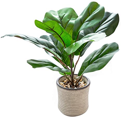 AlphaAcc 14 inch Artificial Potted Plants Indoor Office Desk Faux Fiddle Leaf Fig Plant Realistic Small Fake Farmhouse Plants for Home Kitchen Bathroom Bedroom Decor