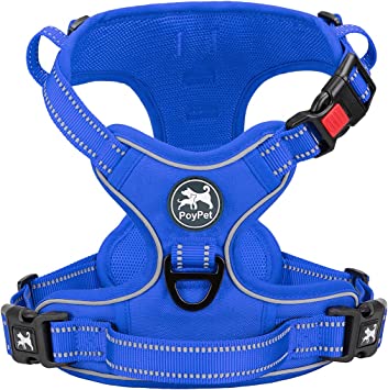 PoyPet No Pull Dog Harness, No Choke Reflective Dog Vest, Adjustable Pet Harnesses with 2 Leash Attachments with Easy Control Padded Handle for Small Medium Large Dogs(Royal Blue,XL)