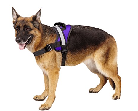 Big Dog Soft Reflective No Pull Harness