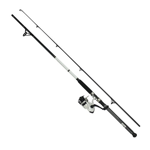 Daiwa D-Wave Saltwater Spinning Fishing Rod and Reel Combo