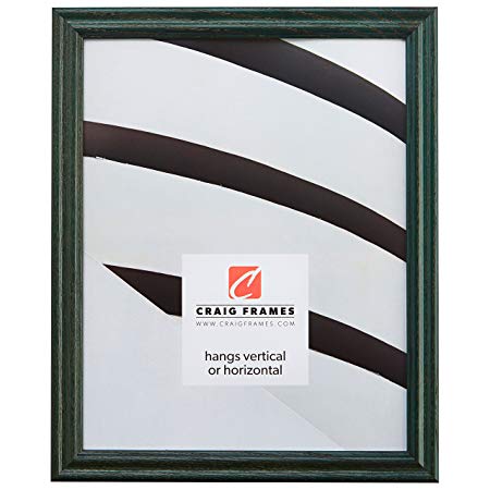 Craig Frames 200ASHGR 16 by 20-Inch Picture Frame, Wood Grain Finish, 0.75-Inch Wide, Green