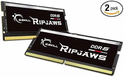 G.SKILL Ripjaws DDR5 SO-DIMM Series DDR5 RAM 64GB (2x32GB) 5600MT/s CL40-40-40-89 1.10V Unbuffered Non-ECC Notebook/Laptop Memory SODIMM (F5-5600S4040A32GX2-RS)