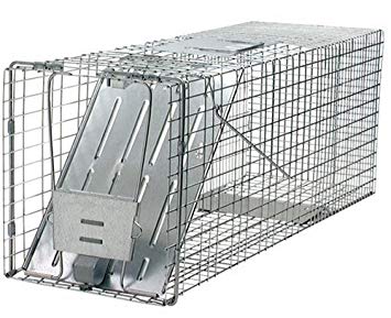 Woodstream 1079 32-Inch Live Animal Cage Trap