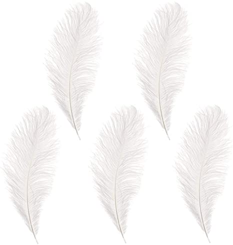 10-12 inches Ostrich Feather Real Natural Feather for Home Decor Party Wedding Decorations, Pack of 5(White)
