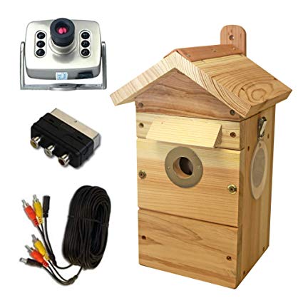 Cedar Bird Nest Box & Feeder with Colour Night Vision Camera with Audio - Multi Species Nest Box & Feeder Camera