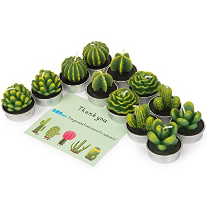 Cactus Tealight Candles, AMASKY Handmade Delicate Succulent Cactus Candles for Birthday Party Wedding Spa Home Decoration, 12 Pcs in Pack. (12)