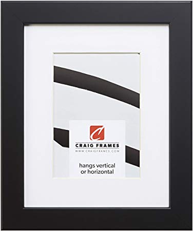 Craig Frames 26273 20 x 30 Inch Black Satin Picture Frame Matted to Display a 16 x 24 Inch Photo