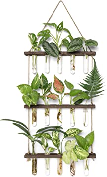 Mkono Wall Hanging Planter Terrarium with Wooden Stand, 3 Tiered Mini Test Tube Flower Vases Retro Hanging Glass Planter Propagator for Hydroponic Plants Cutting Home Office Garden Decor-15 Test Tubes