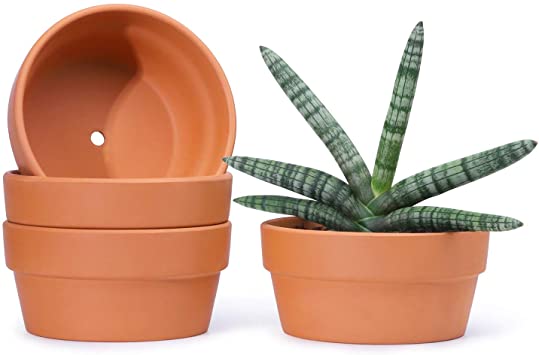 POTEY Terracotta Shallow Planters for Succulent - 6.1 Inch Cactus Plant Containers Indoor Garden Bonsai Pots with Drainage Hole - Set of 4, Unglazed