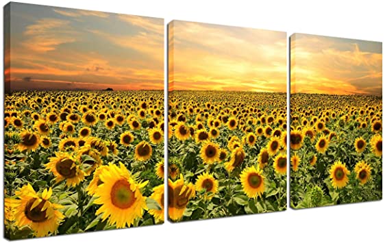 Sunflower Wall Decor Framed Art - Home Office Canvas Painting for Living Room Decorations Kitchen Bedroom Set 3 Piece Nature Photo Picture Print Landscape Sunset Poster 12''x16'' Artwork Ready to Hang
