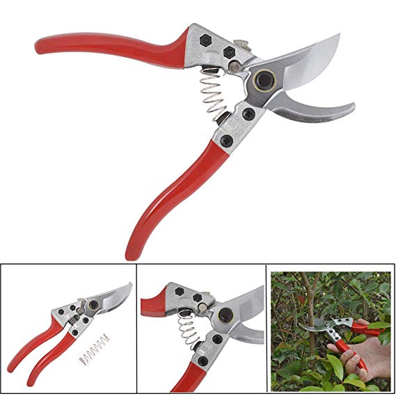 AWinEur Pruning Shears, SK-5 Stainless Steel Secateurs, Gardening Shears, Garden Scissors, Garden Hand Pruner, Clipper, Perfect for Precise Cuts and Garden Trimming Work on Tree, Plant, Hedge