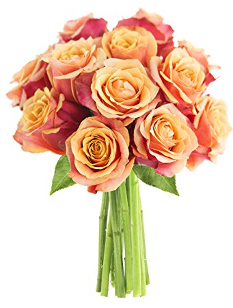Mother's Day Collection: 12 Fresh Cut Orange Roses - by KaBloom