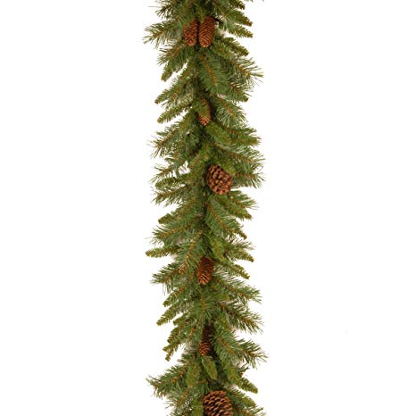 National Tree 9 Foot by 10 Inch Pine Cone Garland (PC-9G-1)