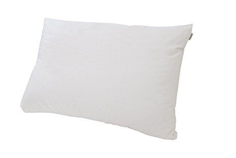 Natura Organic Cloud Pillow (Queen)