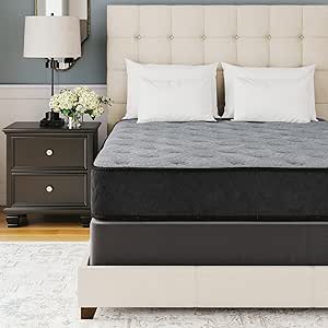 Signature Design by Ashley Queen Size Comfort Plus 10 Inch Hybrid Mattress with Lumbar Support Gel Memory Foam