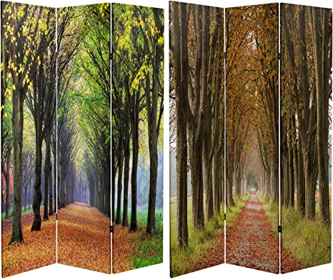Red Lantern 6 ft. Tall Double Sided Autumn Footpath Canvas Room Divider, Green