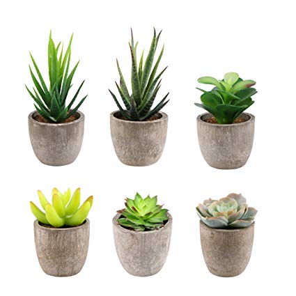 Yoodelife Assorted Faux Succulents Set of 6 Artificial Potted Plants Fake Cactus Aloe, Realistic Looking