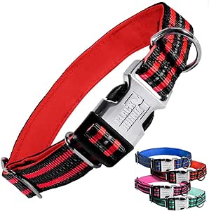 Black Rhino - The Hybrid Striped Dog Collar (Small) for Medium Large Breeds | Heavy Duty | Soft Padded Neoprene - Reflective & Adjustable - Matching Leashes Sold Separately