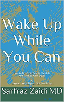 Wake Up While You Can: How to Be Stress-Free In This Life And The Life After Death A Logical, Non-religious, Spiritual Insigt