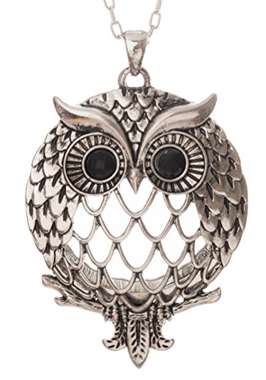 Owl Magnifier Magnifying Glass Sliding Top Magnet Pendant Necklace, 30"