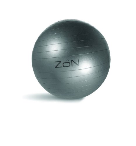 Zon Anti Burst Balance Ball (Silver/Black)