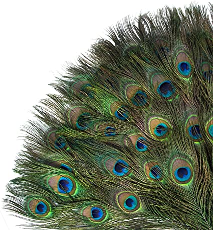 Acerich Peacock Feathers 10-12 Inches, 50PCS Animal Birds Craft Feathers with Big Peacock Eye for Crafts, Dreamcatcher Making, Home, Wedding Holiday Decoration