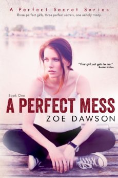 A Perfect Mess (Hope Parish Novels Book 1)