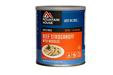 Mountain House Beef Stroganoff with Noodles