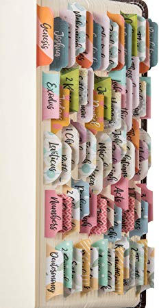 DiverseBee Laminated Bible Tabs (Large Print, Easy to Read), Personalized Bible Journaling Tabs, 66 Book Tabs and 14 Blank Tabs - Diverse Theme