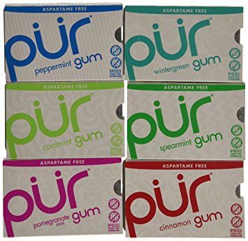 Pur Gum Six Flavor Variety Pack - Cinnamon, Coolmint, Peppermint, Pomegranate Mint, Spearmint and Wintergreen - 9 Pieces Per Pack, 1 Pack of Each Flavor