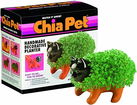 Chia Pet Kitten, Decorative Pottery Planter, Easy to Do and Fun to Grow, Novelty Gift, Perfect for Any Occasion