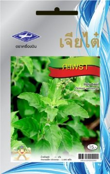 Holy Basil (2400 Seeds) Seeds - 1 Package From Chia Tai, Thailand