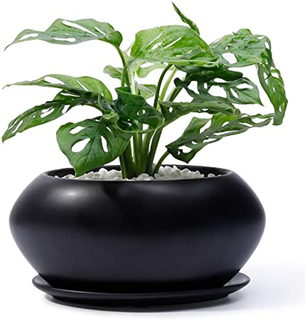 POTEY Ceramic Plant Flower Pots - 6.9 Inch Planter Bonsai Medium Container Large Space - Drain Hole with Saucer, Black