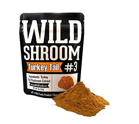 Turkey Tail Mushroom Extract Powder 10:1 by Wild Foods | Fruiting Bodies Only, Hardwood, Triple Water Extracted, Vegan, Paleo Adaptogenic Herb, Immune Support, Gut Health, Mental Health (Two 4 Ounce)