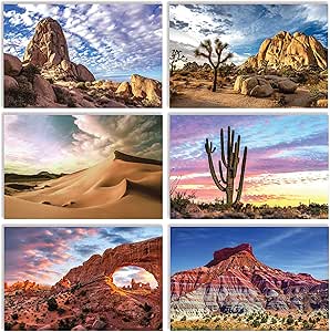 Better Office Products 50 Pack All Occasion Greeting Cards, Assorted Desert Landscape Note Cards with Envelopes, 4 x 6 inch, 6 Arid Landscape Designs, Blank Inside